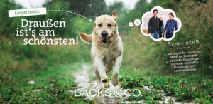 Hund Cooper